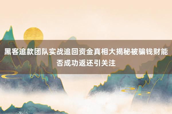黑客追款团队实战追回资金真相大揭秘被骗钱财能否成功返还引关注