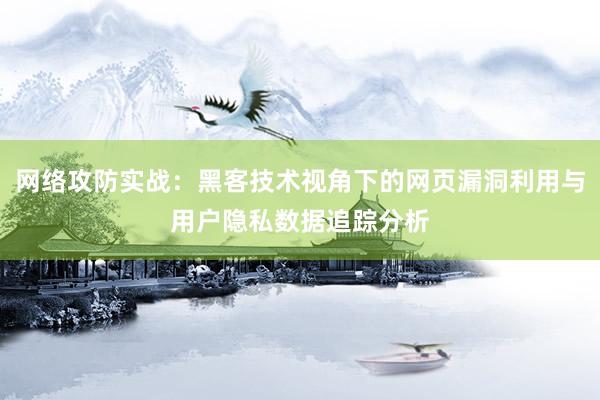网络攻防实战：黑客技术视角下的网页漏洞利用与用户隐私数据追踪分析