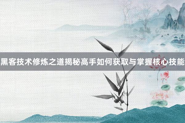黑客技术修炼之道揭秘高手如何获取与掌握核心技能